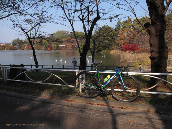 IMG_8804.png