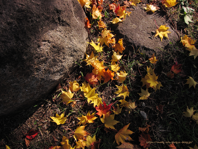 IMG_8813.png