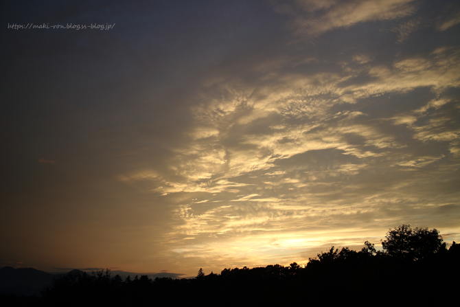 IMG_8823.png