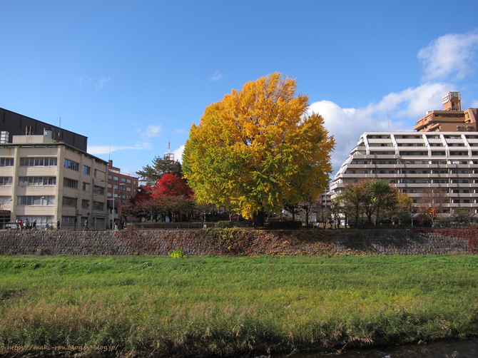 IMG_8861.png