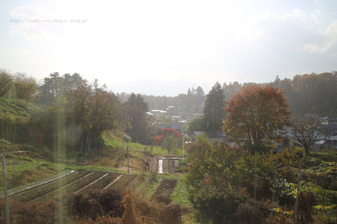 IMG_8876.png