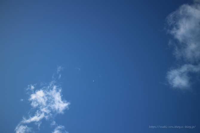 IMG_8892.png