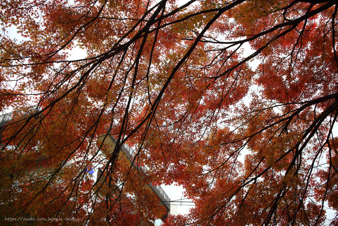 IMG_8903.png