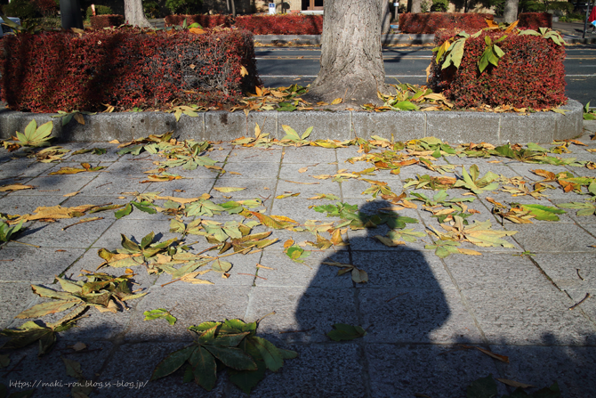 IMG_8914.png