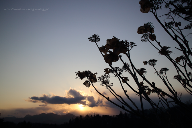 IMG_9072.png