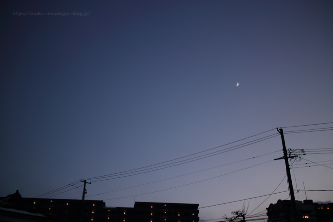 IMG_9115.png