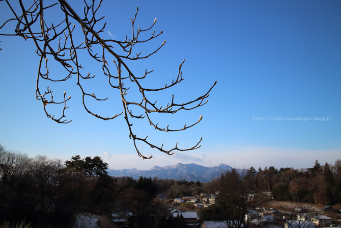 IMG_9145.png