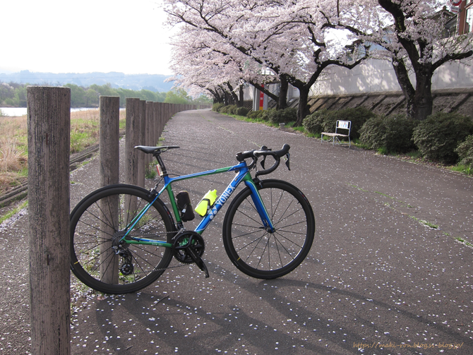 IMG_9151.png