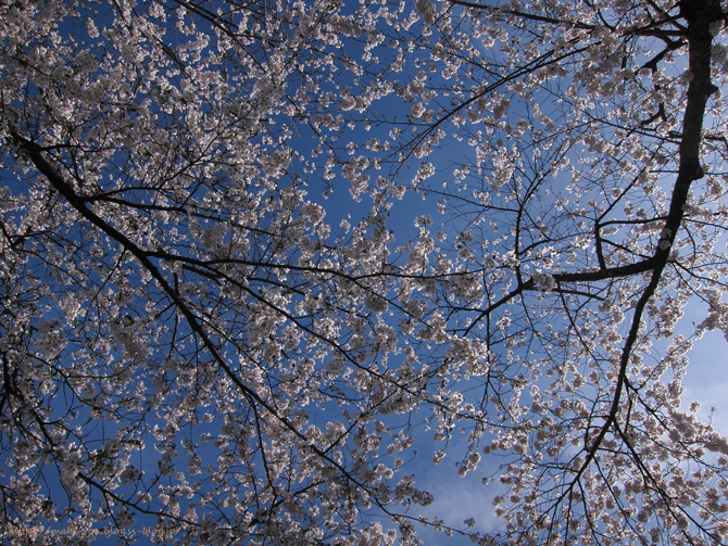 IMG_9176.png