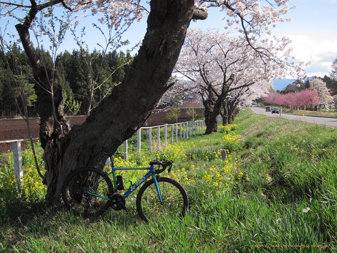 IMG_9177.png