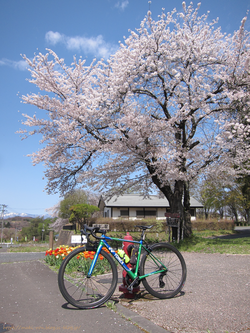 IMG_9191.png