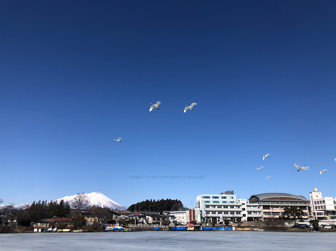 IMG_9192.png