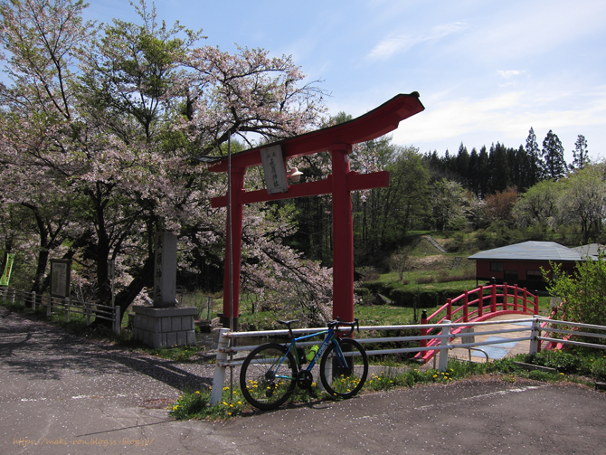 IMG_9203.png