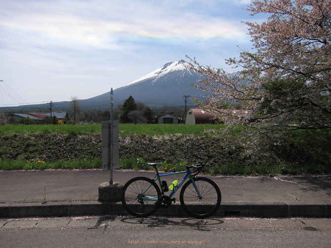 IMG_9207.png