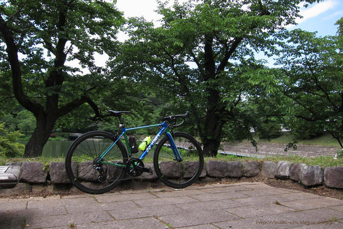 IMG_9318.png