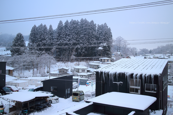 IMG_9383.png