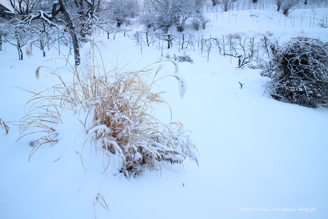 IMG_9389.png