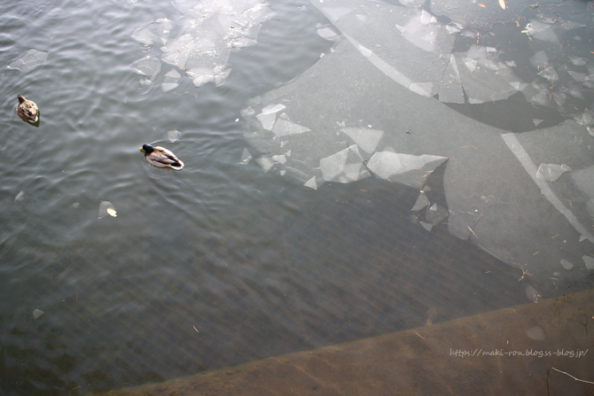 IMG_9418.png