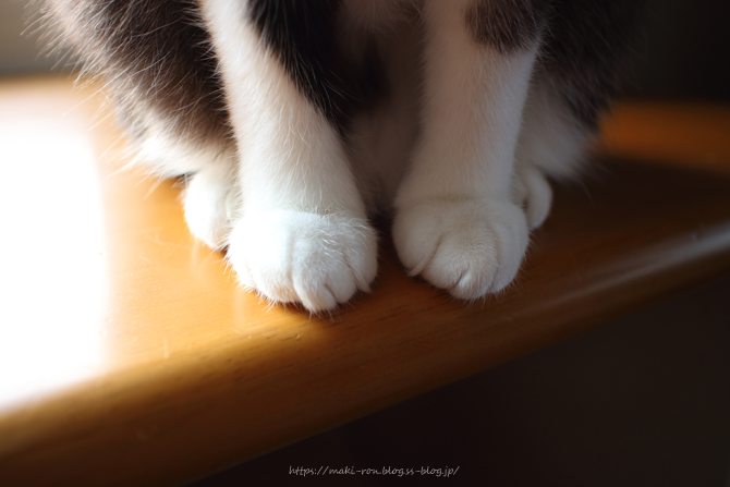 IMG_9489.png
