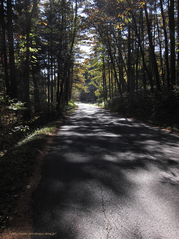 IMG_9517.png