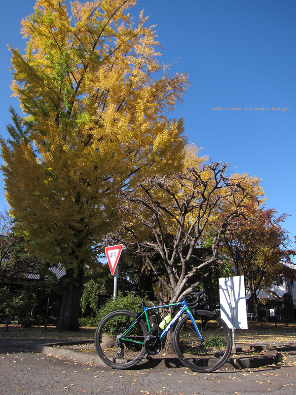 IMG_9540.png
