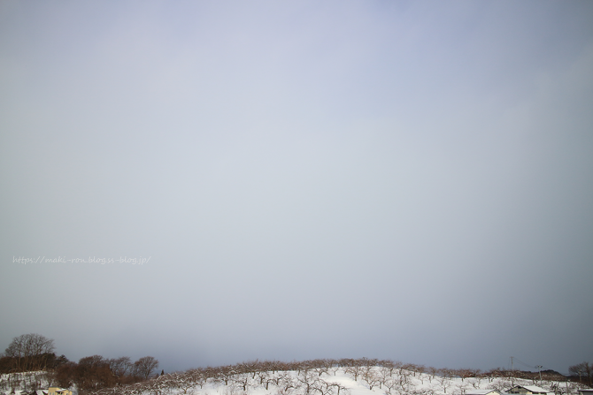 IMG_9579.png