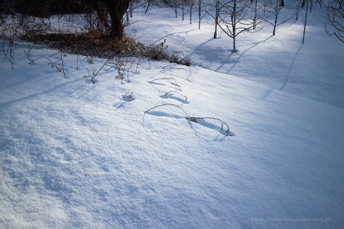 IMG_9605.png