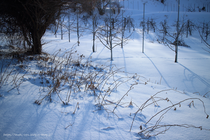 IMG_9677.png