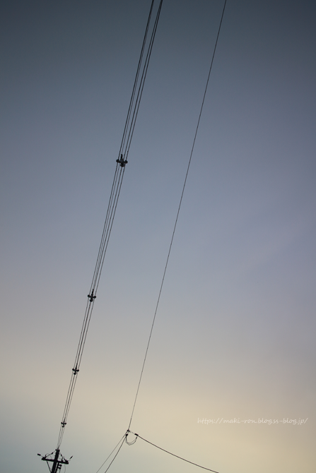 IMG_9707.png