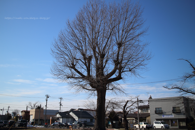 IMG_9746.png