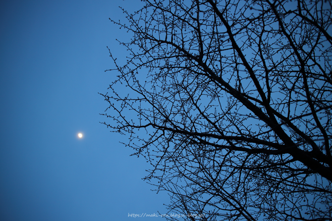 IMG_9801.png