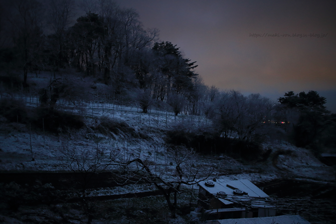 IMG_9878.png