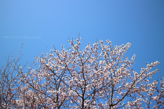 IMG_9940.png