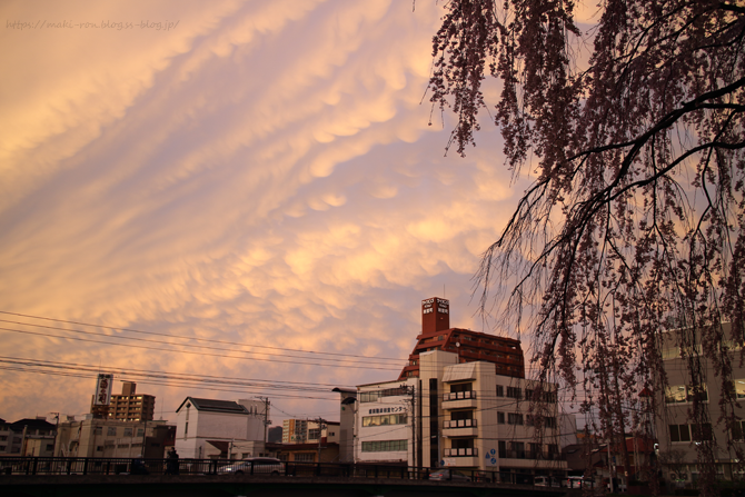 IMG_9950.png