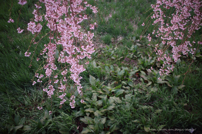 IMG_9958.png