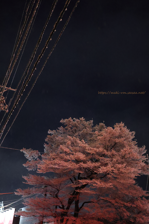 IMG_0477.png