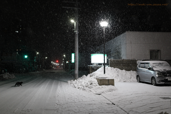 IMG_0575.png