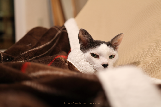 IMG_1207.png