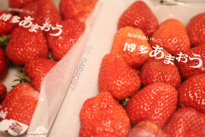 IMG_1259.png