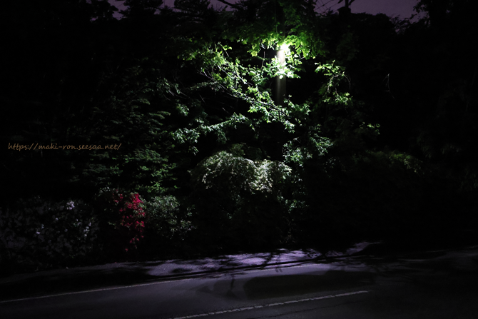 IMG_1564.png