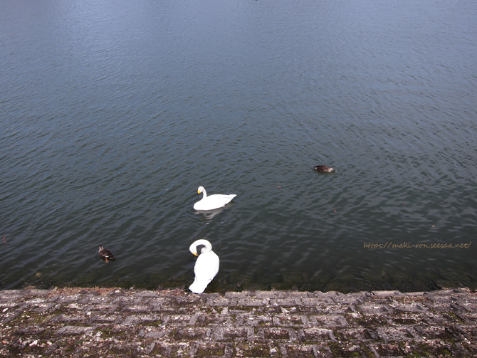 IMG_9677.png